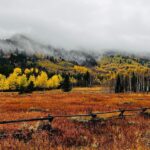 Nikki Sixx Instagram - Best part about taking my daughter to school in the morning!!!!! #FishCreek Wyoming