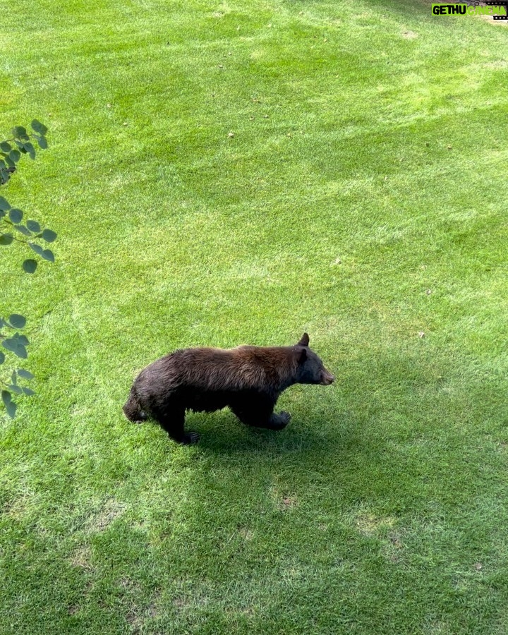 Nikki Sixx Instagram - Friday friends on the side yard. Yup we’re not in California anymore. This is our version of a smash n grab……..#Wyoming