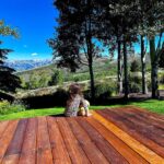 Nikki Sixx Instagram - Wild leopard on the deck upon finding out there was an actual wild bear out on the property this morning. I guess we could call her a scaredy cat? (dad joke) but then again I am a dad. Irony and too much coffee. Nice to be off the road and back into nature….. Thanks Annie for the head up. 🐻 Jackson, Wyoming