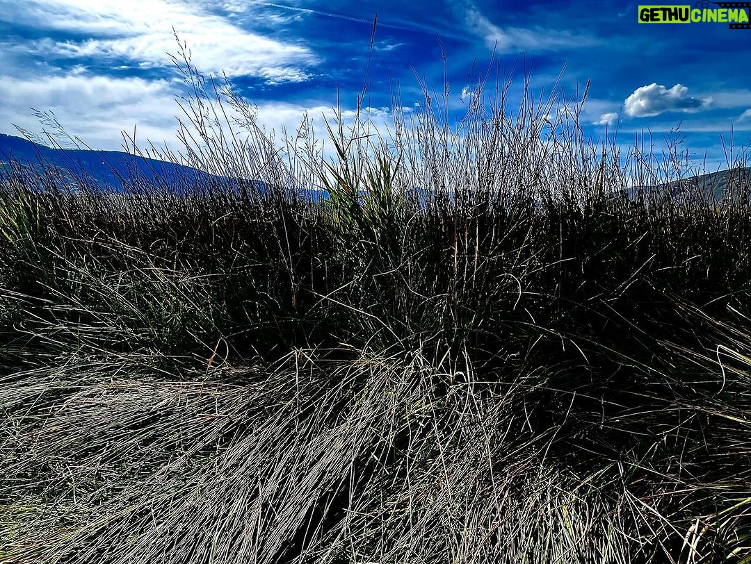 Nikki Sixx Instagram - Flat Creek on Tuesday….#Wyoming Jackson, Wyoming