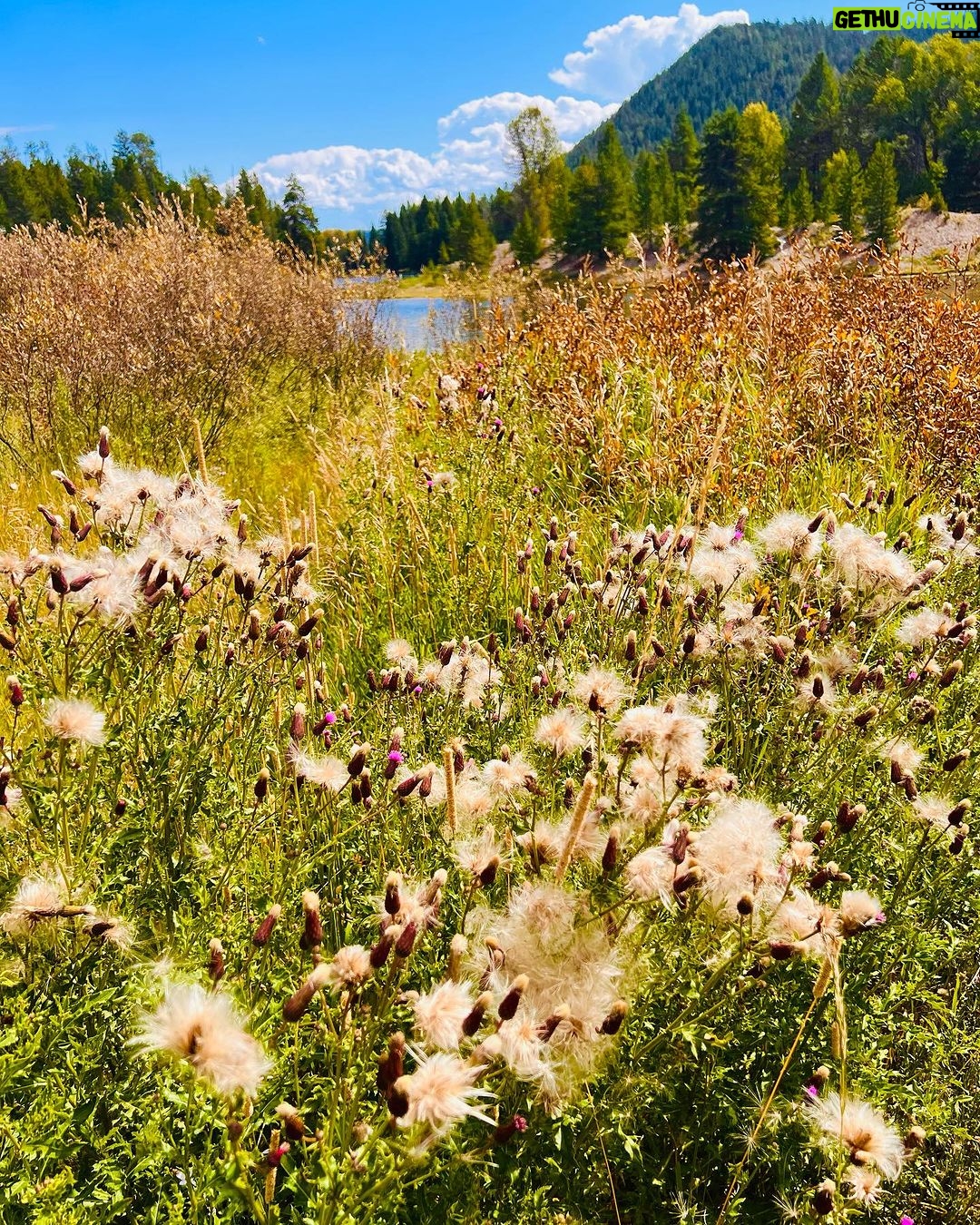 Nikki Sixx Instagram - WE LOVE WYOMING- Wyoming