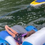 Nikki Sixx Instagram - Saturday In The Park…Thank you to my buddy Bob who took us out in the boat. #JacksonLake #Wyoming #september Grand Teton National Park
