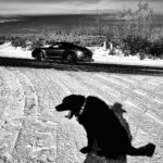 Nikki Sixx Instagram - Waiting on some real snow- ❄️
