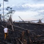 Nikolaj Coster-Waldau Instagram - So much nuance is lost when a story goes viral. The Amazon on fire story is a great example. Deforestation is a massive problem. But ‘why’ is an important question to ask. And important to try and understand so we can act. Together with @undp I travelled to the Peruvian part of the Amazon to learn. We will share what we found out on Wednesday sept18th.