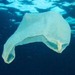 Nikolaj Coster-Waldau Instagram - The damage plastics are doing to our oceans is unbelievable. Just last month, scientists discovered a plastic bag on the floor of the deepest part of the ocean. And we’re seeing whales, dolphins and seagulls die with a stomach full of plastic. The ocean isn’t our garbage dump. We need it to live, to breathe, to survive. So do marine animals. Let’s cut out the plastic, recycle and reuse what we can, and do our part to keep the oceans clean.@undp #worldoceansday
