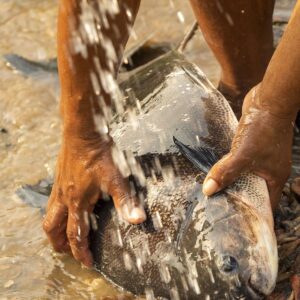 Nikolaj Coster-Waldau Instagram - I also love fishing and got to fish for our breakfast at the alto chivis community . The fisheries provide a sustainable great source of income that creates opportunities for a lot of families here in the middle of Amazonas. And. The food was delicious 😋remember to look out for our film on the 18th @imdb #globalgoals #climateaction