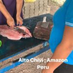 Nikolaj Coster-Waldau Instagram - I also love fishing and got to fish for our breakfast at the alto chivis community . The fisheries provide a sustainable great source of income that creates opportunities for a lot of families here in the middle of Amazonas. And. The food was delicious 😋remember to look out for our film on the 18th @imdb #globalgoals #climateaction