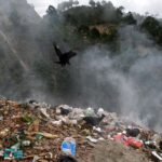 Nikolaj Coster-Waldau Instagram - The damage plastics are doing to our oceans is unbelievable. Just last month, scientists discovered a plastic bag on the floor of the deepest part of the ocean. And we’re seeing whales, dolphins and seagulls die with a stomach full of plastic. The ocean isn’t our garbage dump. We need it to live, to breathe, to survive. So do marine animals. Let’s cut out the plastic, recycle and reuse what we can, and do our part to keep the oceans clean.@undp #worldoceansday