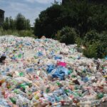 Nikolaj Coster-Waldau Instagram - The damage plastics are doing to our oceans is unbelievable. Just last month, scientists discovered a plastic bag on the floor of the deepest part of the ocean. And we’re seeing whales, dolphins and seagulls die with a stomach full of plastic. The ocean isn’t our garbage dump. We need it to live, to breathe, to survive. So do marine animals. Let’s cut out the plastic, recycle and reuse what we can, and do our part to keep the oceans clean.@undp #worldoceansday