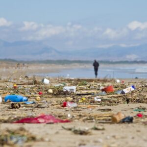 Nikolaj Coster-Waldau Instagram - The damage plastics are doing to our oceans is unbelievable. Just last month, scientists discovered a plastic bag on the floor of the deepest part of the ocean. And we’re seeing whales, dolphins and seagulls die with a stomach full of plastic.
The ocean isn’t our garbage dump. We need it to live, to breathe, to survive. So do marine animals. Let’s cut out the plastic, recycle and reuse what we can, and do our part to keep the oceans clean.@undp #worldoceansday