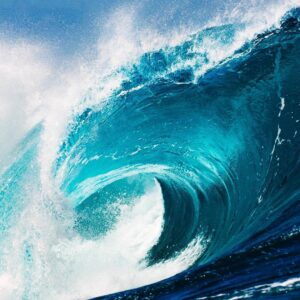 Nikolaj Coster-Waldau Instagram - The damage plastics are doing to our oceans is unbelievable. Just last month, scientists discovered a plastic bag on the floor of the deepest part of the ocean. And we’re seeing whales, dolphins and seagulls die with a stomach full of plastic.
The ocean isn’t our garbage dump. We need it to live, to breathe, to survive. So do marine animals. Let’s cut out the plastic, recycle and reuse what we can, and do our part to keep the oceans clean.@undp #worldoceansday