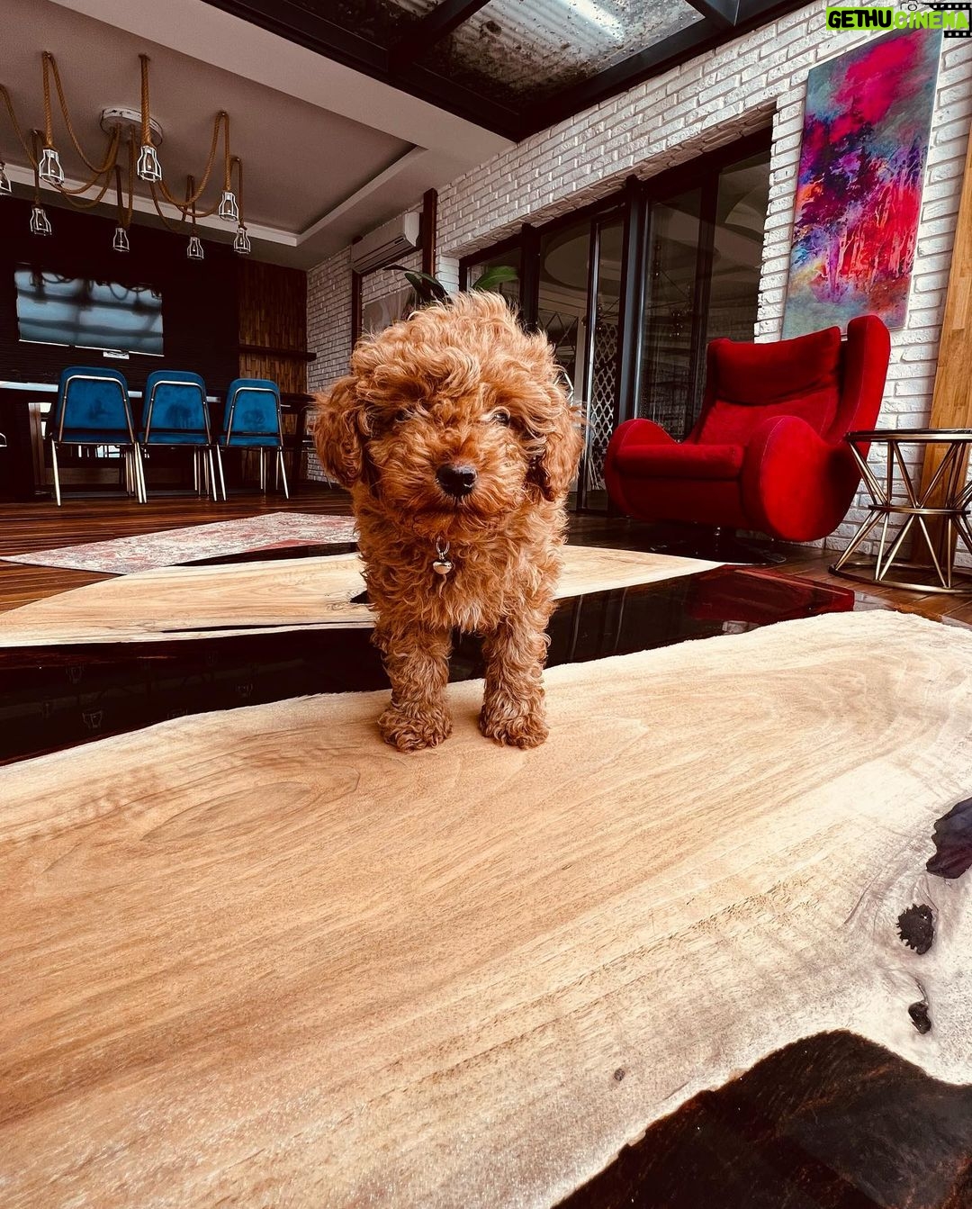 Nilsu Berfin Aktaş Instagram - Bugünden sürpriz sonlu #yoda