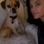 Nina Agdal Instagram – Her: “You’re barking up the wrong tree”