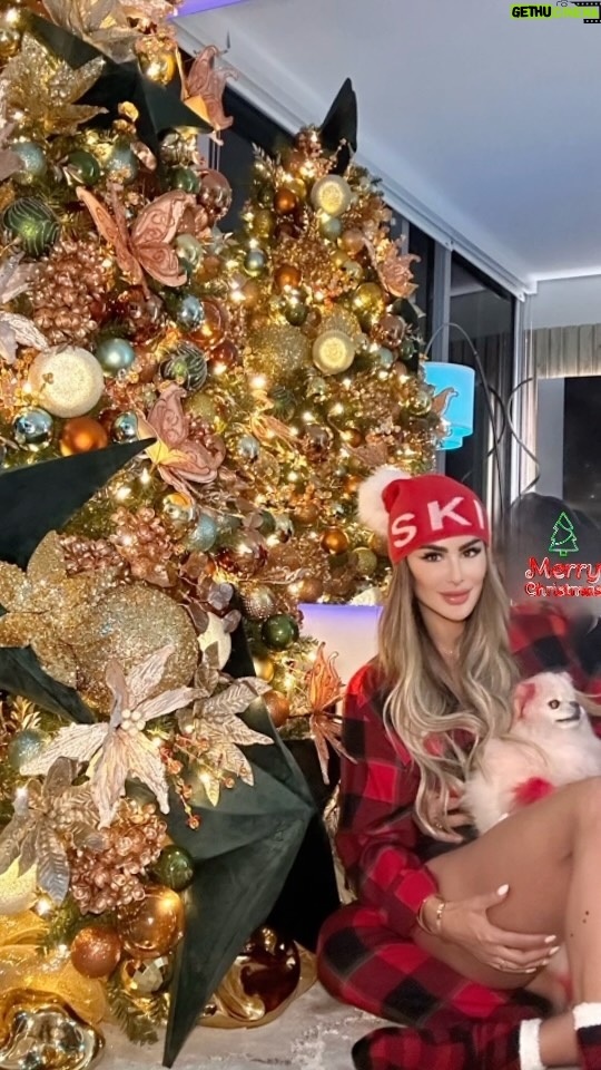 Ninel Conde Instagram - Feliz Navidad! Merry Christmas 🎄🎁 Que todos tus sueños se vuelvan realidad ❤️ Galveston, Texas