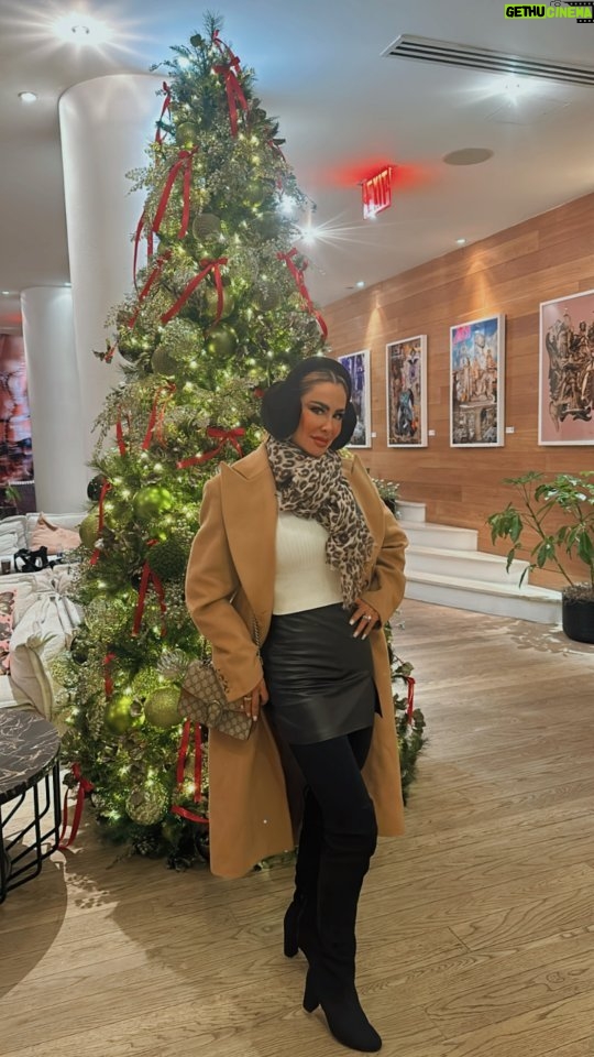 Ninel Conde Instagram - Activamos el mood navideño 🎄y que mejor lugar para recibir esta temporada que en NY🗽. Recordando un hermoso viaje. Cuéntame, ¿has recibido a 🎅🏻 en esta ciudad? Los leo 👀 #Ninelconde #newyork #holidays #happychristmas #travel #fy