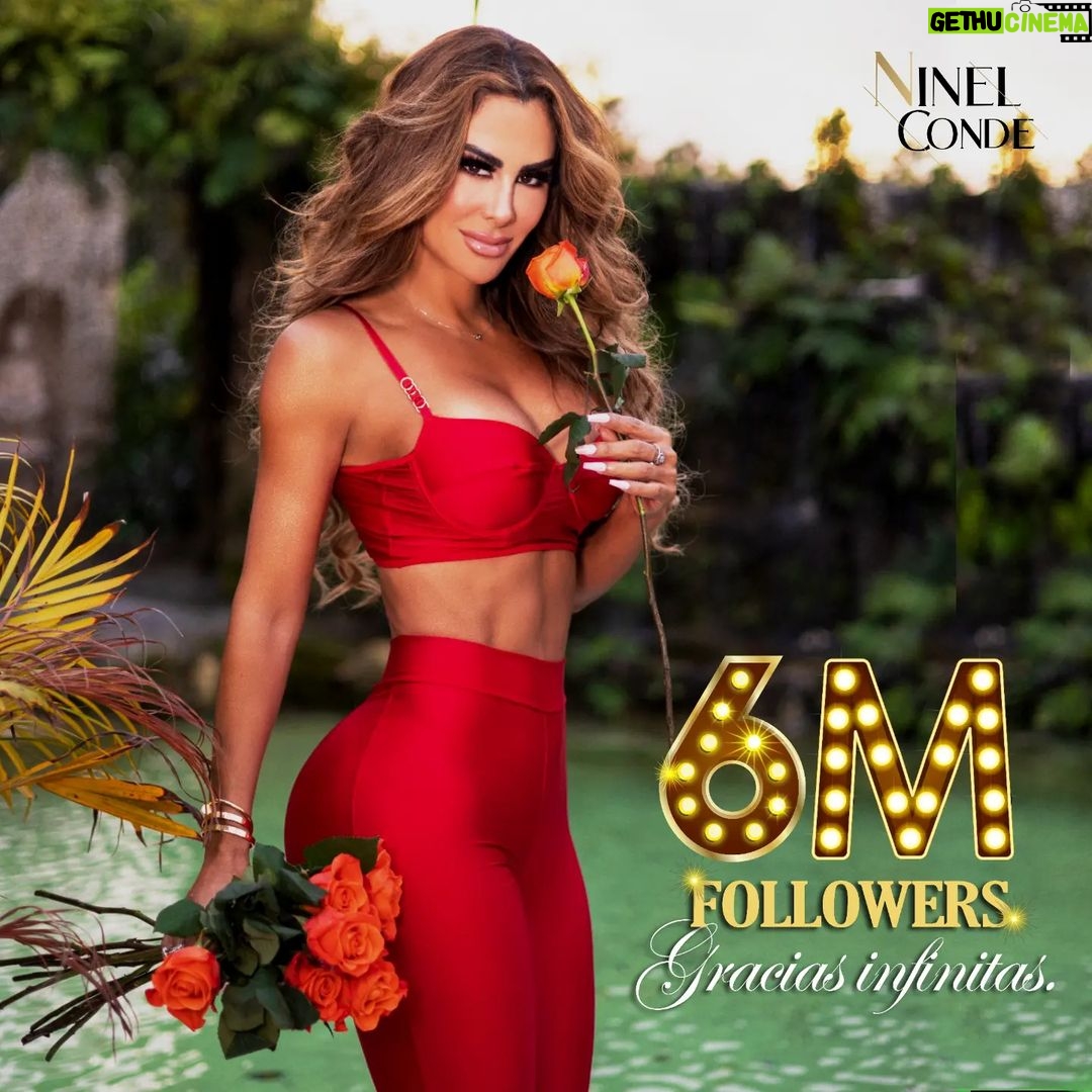 Ninel Conde Instagram - Existen innumerables razones para estar agradecidos, y hoy lo estoy especialmente por ustedes, quienes siempre me acompañan y me brindan energía día tras día. 🎉 Celebro este logro y agradezco tenerlos presentes, mis amores. 💋 #NinelConde #Agradecimiento #Followers #HappyLife #MiamiLifeStyle #Viral