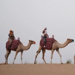 Ninel Conde Instagram - Dubai desert 🐪 🐪🐪 . . Que bella experiencia Gracias @clauguevarahdz por siempre estar! Por ser más que mi amiga .. mi hermana por decisión .. Porque la amistad se demuestra con hechos no con palabras. Por mas viajes y experiencias juntas ! Te amo sister . • #dubai #dubaidesert #dubaidesertsafari #camels #dubaicamels #fy #travel #traveltips #travelexcursions #fye #trend riviral Dubai Desert Conservation Reserve - Platinum Heritage