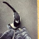 Ning Yi Zhuo Instagram - 👁️