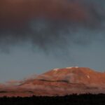 Nirmal Purja Instagram - Last Call for a Very Kili Christmas and New Year Summit Celebration! Our Winter Special Christmas and New Year Packages for an unforgettable Kilimanjaro expedition are booking up fast, so give yourself the gift of adventure this Holiday season! Christmas Special Group Package Available dates: 19th Dec - 27th Dec - 2023 It's not too late to join us for a Christmas adventure like no other! Revel in the magic of the holiday season on the Roof of Africa. New Year's Special Group Package Available dates: 26th Dec - 3rd Jan - 2023 Welcome the New Year with triumph! Don't miss out on this extraordinary journey. Book your spot now! Contact us: ✉️kilimanjaro@eliteexped.com and let's make your Kilimanjaro dream a reality. Copyright - Nimsdai Copyright: Nimsdai Purja #eliteexped #nimsdai #14peaks #14peaksnothingisimpossible #achieveyournewpossible #alwaysalittlehigher #LastCallKilimanjaro #ChristmasAdventure #NewYearSummit #Kili2023Adventure Mount Kilimanjaro