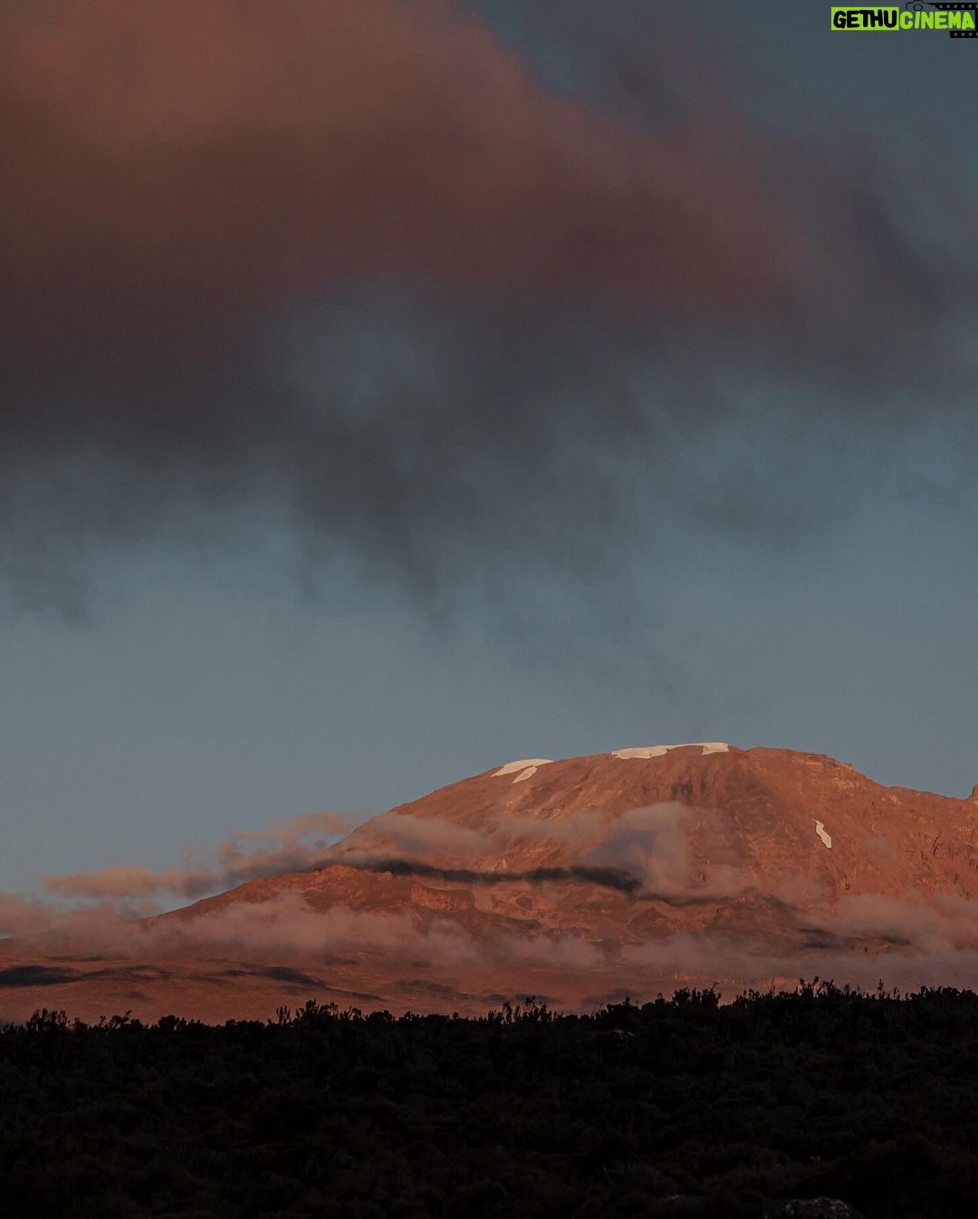 Nirmal Purja Instagram - Last Call for a Very Kili Christmas and New Year Summit Celebration! Our Winter Special Christmas and New Year Packages for an unforgettable Kilimanjaro expedition are booking up fast, so give yourself the gift of adventure this Holiday season! Christmas Special Group Package Available dates: 19th Dec - 27th Dec - 2023 It's not too late to join us for a Christmas adventure like no other! Revel in the magic of the holiday season on the Roof of Africa. New Year's Special Group Package Available dates: 26th Dec - 3rd Jan - 2023 Welcome the New Year with triumph! Don't miss out on this extraordinary journey. Book your spot now! Contact us: ✉️kilimanjaro@eliteexped.com and let's make your Kilimanjaro dream a reality. Copyright - Nimsdai Copyright: Nimsdai Purja #eliteexped #nimsdai #14peaks #14peaksnothingisimpossible #achieveyournewpossible #alwaysalittlehigher #LastCallKilimanjaro #ChristmasAdventure #NewYearSummit #Kili2023Adventure Mount Kilimanjaro
