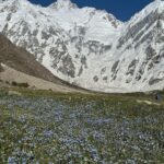 Nirmal Purja Instagram – As we walked through the little villages enroute to #Nangaparbat , I met these young kids. They were asking for chocolates and sweets. Immediately it came into my mind about my childhood. I used to do the same; asking for sweets from tourists who were trekking.
Looking back to those humble beginnings and then forward to how far I have come – it was very emotional. And the journey continues.ππ½ππ½
I want to thank my family, especially my mum and brothers who sent me to a good school after they passed the Gurkha selection, and my mum for bring me up in the way she did.
To those who are dreaming big – itβs possible. If I can do it – so can you. Just donβt dream though – “Act on your dreams.β
More stories in my book Beyond Possible.
Copyright @nimsdai
#nimsdai #14peaks #14peaksnothingisimpossible #achieveyournewpossible #nothingisimpossible #nims #nimspurja #14peaks6months #beyondpossible #k2winter #k2firstascentnoo2 #uksf #club8000ers #everest #k2 #k2winter #aboveandbeyondadventure #alwaysalittlehigher #nimsdaifoundation #bigmountaincleanup #nimsdaistore #nimsdaiultimatesummitsuit Pakistan