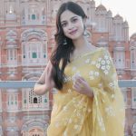 Nitanshi Goel Instagram - Aur phir hua kuch yun ki apni hi tasweer par dil aa gaya 🕊️🪞 Jaipur Promotions ✨ #LaapataaLadies Photographer - @_rahul.rajeev_ Styled by - @ekta_singh96 Hair/make up - your Nitz Outfit - @picchika Assisted by- @abhishek__gujar__ Dressmen team- @pravin_kumar_nirala #phool #nitanshigoel #laapataaladies #jaipur @aamirkhanproductions @kindlingindia @officialjiostudios Jaipur - The pink city