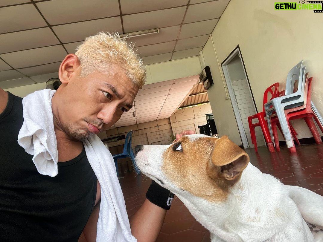 Niti Chaichitathorn Instagram - ว่าไงพรรคพวก