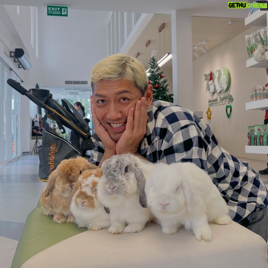 Niti Chaichitathorn Instagram - 1 แสนปี จะมีรูปรวมครอบครัวซัก 1 รูป #เป๊ปเปอร์ซอล์ทบัตเตอร์พีนัทกระต่ายยาย