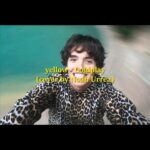 Noah Urrea Instagram - My cover of Yellow is out now on my YouTube :) this video has a special place in my heart and it wouldn’t have been possible without you guys. ANDDD A VERY SPECIAL THANKS TO @n.u.ediits for doing such a beautiful job on the edit… I’m so happy we got to do this together❤️