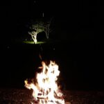 Nobuyuki Hayakawa Instagram - 炎上。 炎上してるとかよく言うけど、してない。