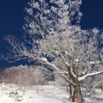Nobuyuki Hayakawa Instagram - 雪と深い青空 #お前のインスタでこんなんいらん #なんて言えばいい #イモ顔が