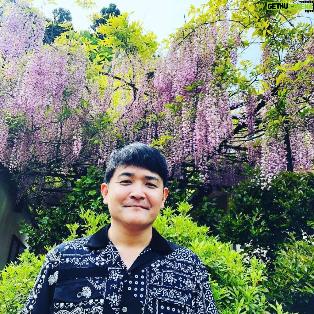 Nobuyuki Hayakawa Instagram - 瀧さんより瀧だ。 #藤の花 #産屋敷 #最終選別ゼロ勝男