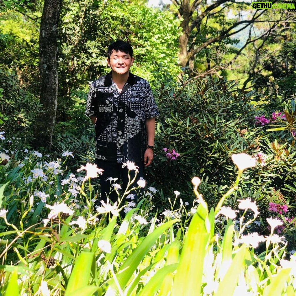Nobuyuki Hayakawa Instagram - 草花が喜ぶ季節になりましたね。 #だまれ #蛇に噛まれろ
