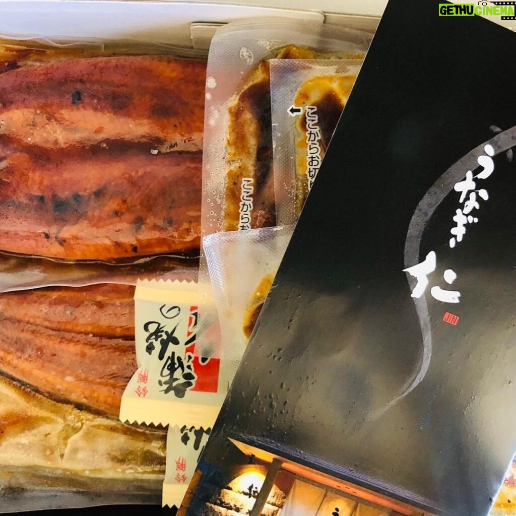 Nobuyuki Hayakawa Instagram - 次長課長河本さんのYouTubeに出たらお礼に鰻が送られてきました！ #昔の芸能界 #めちゃくちゃ美味しい #鹿児島の鰻屋さん #仁