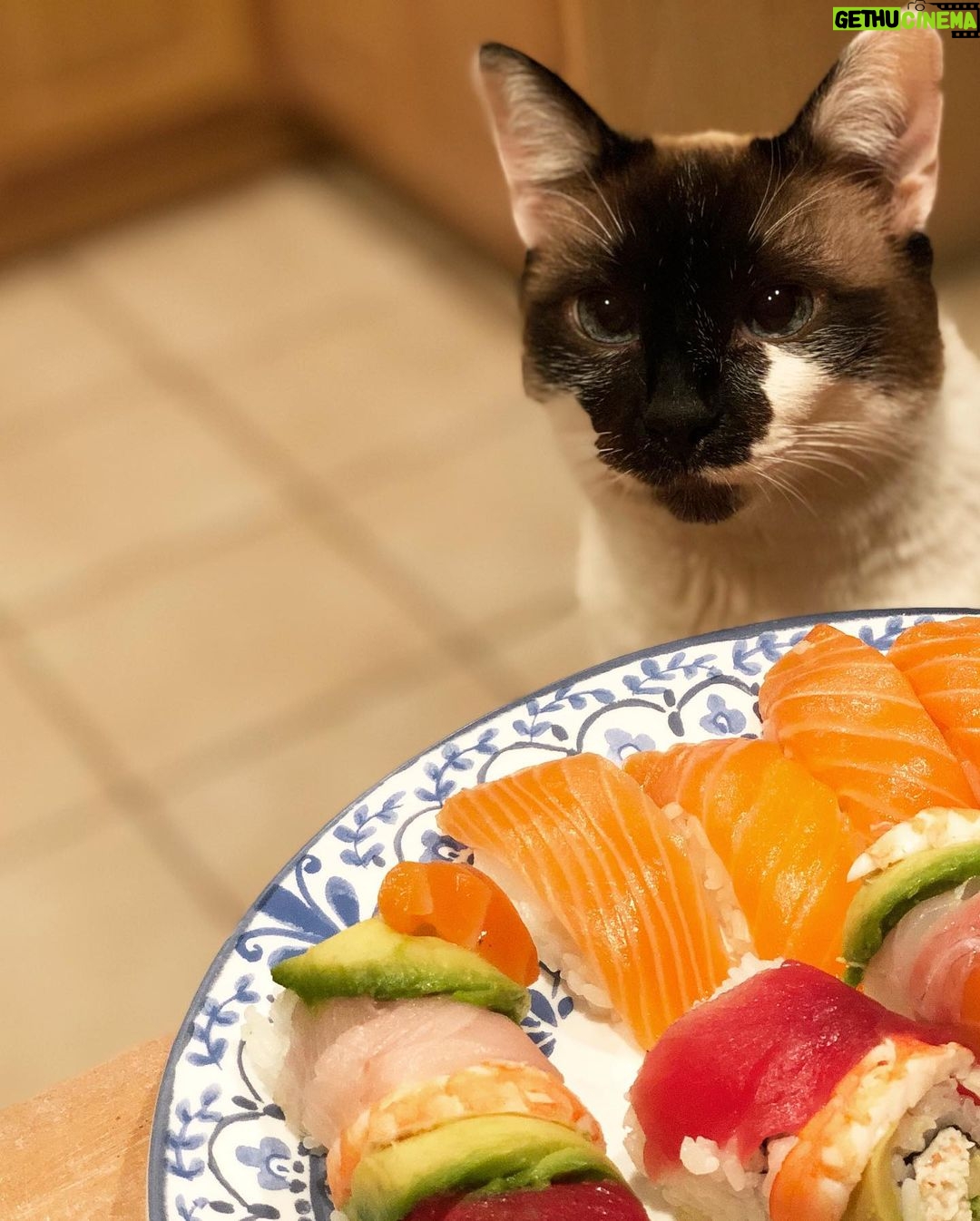 Noel Fisher - 172.5K Likes - The Sushi's are multiplying...