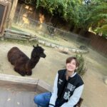 Noppanut Guntachai Instagram – 🦙🦙🦙🍦🍦🍦 Everland, Korea Theme Park