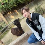 Noppanut Guntachai Instagram - 🦙🦙🦙🍦🍦🍦 Everland, Korea Theme Park