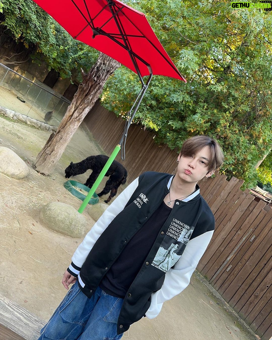 Noppanut Guntachai Instagram - 🦙🦙🦙🍦🍦🍦 Everland, Korea Theme Park