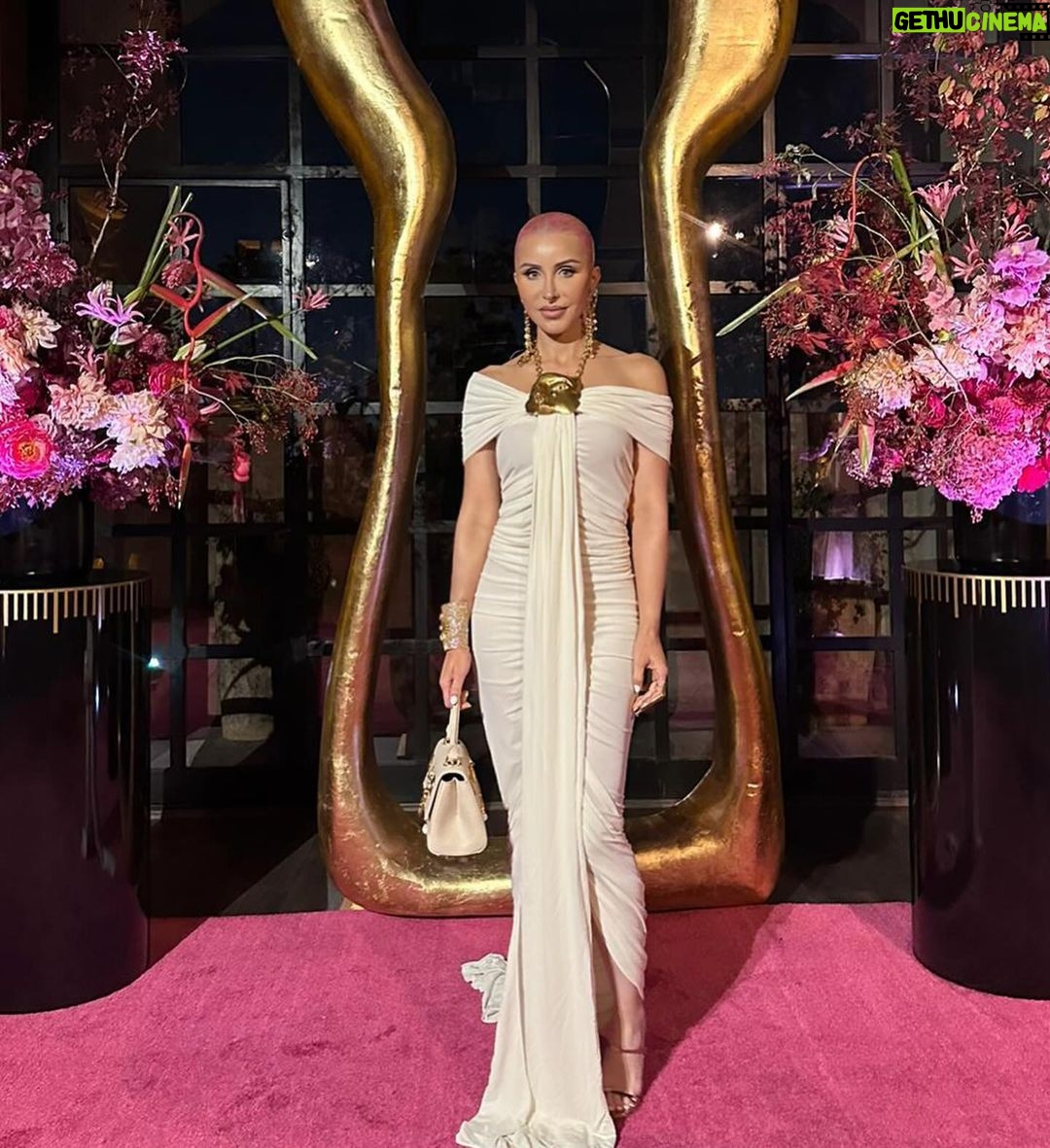 Norvina Instagram - Last night at the Schiaparelli party😘
