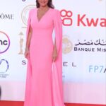 Nour Instagram - Walking on Pink Clouds 💖 From the opening ceremony of the 44th edition of Cairo International Film Festival ✨ Styled by: @yasmineeissa Dress: @alexperryofficial Jewellery: @iramjewelry_ Makeup: @zeinabhassan_ Hair: @malaksamy_1 from @alsagheersalons