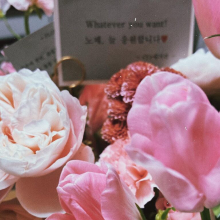 Noze Instagram - whatever you want💐