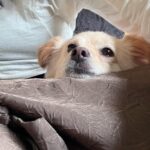 Noze Instagram -