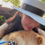 Noze Instagram -