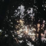 Noze Instagram -