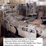 Nur Fazura Instagram - From Gaza City : This is what Israel does to our Palestinian immature babies and children in Gaza “The only democracy in the Middle East" Naser hospital for children in north of Gaza. At the time, the hospital was under Israeli siege, attacked and immature babies left to die.‼️‼️ هذا ما تفعله إسرائيل بأطفالنا وأطفالنا الفلسطينيين غير الناضجين في غزة الخدج داخل مستشفى ناصر للأطفال شمال غزة. في ذلك الوقت، كان المستشفى تحت الحصار الإسرائيلي، وتم مهاجمته وترك الأطفال غير الناضجين ليموتوا.