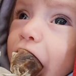 Nur Fazura Instagram - A mother in Gaza had to feed her infant some dates due to the lack of baby formula as a result of Israel’s ongoing siege. سيدة نازحة تضع لمولودها تمر بدلا من الحليب لعدم قدرتها على شراء حليب له