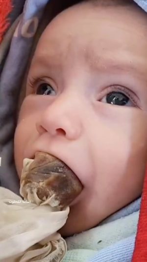 Nur Fazura Instagram - A mother in Gaza had to feed her infant some dates due to the lack of baby formula as a result of Israel’s ongoing siege.

سيدة نازحة تضع لمولودها تمر بدلا من الحليب لعدم قدرتها على شراء حليب له