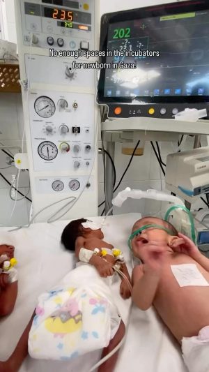 Nur Fazura Instagram - No enough space in incubators for new born babies in Gaza Strip.!!!
The health sector in Gaza is in very bad shape.
Many hospitals attacked in Gaza and out of service.
There is defer shortage of all medical equipment and expertise. By @dahman.eyad
