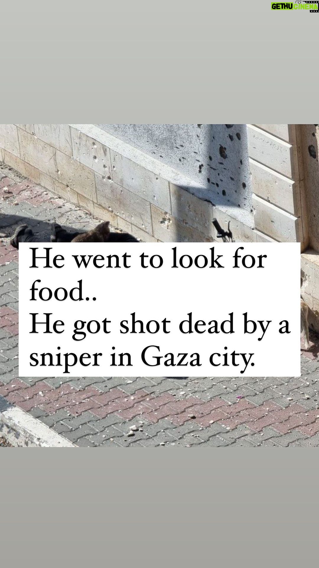 Nur Fazura Instagram - He went to look for food.. He got shot dead by a sniper in Gaza city.