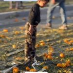 Nur Fazura Instagram - Air Drop Aid on Gaza NOW Our children cannot find food. According to Reuters, the Israeli war has devastated Gaza’s hospitals, leaving more than 85% of its 2.3 million inhabitants homeless. This has led to a rise in diseases like diarrhea and malnutrition in overcrowded shelters.